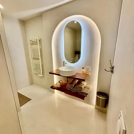 Appartement Charmante Maison à Avec Jardin, Prox Lyon Vienne (Isere)